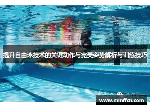 提升自由泳技术的关键动作与完美姿势解析与训练技巧
