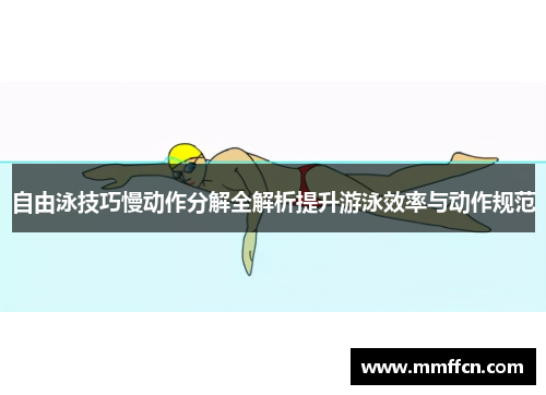 自由泳技巧慢动作分解全解析提升游泳效率与动作规范