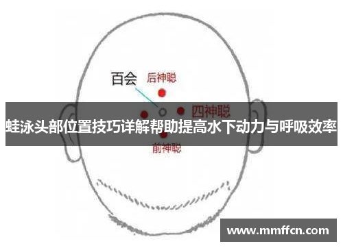 蛙泳头部位置技巧详解帮助提高水下动力与呼吸效率