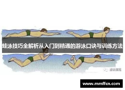 蛙泳技巧全解析从入门到精通的游泳口诀与训练方法