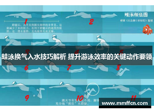 蛙泳换气入水技巧解析 提升游泳效率的关键动作要领